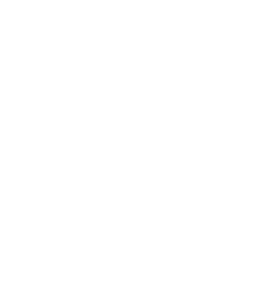 Lillywhites Electrical